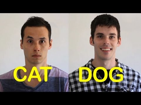 Cat-Friend vs Dog-Friend 2