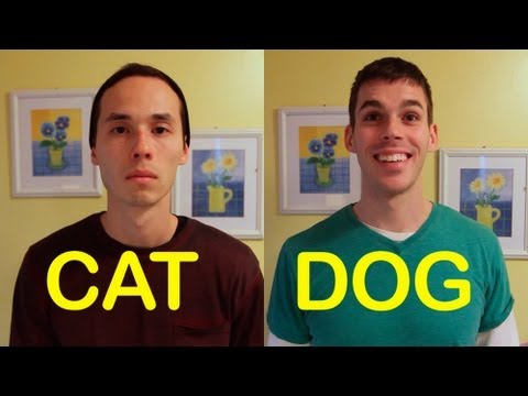 Cat-Friend vs Dog-Friend