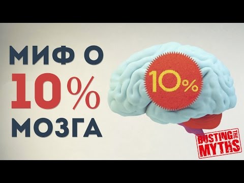 Правда ли, что мозг работает на 10%? Разрушение мифа