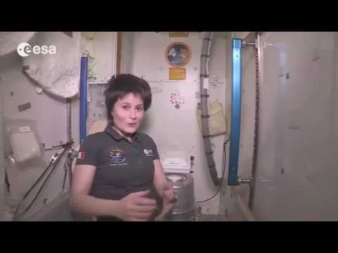 Как ходят в туалет в космосе