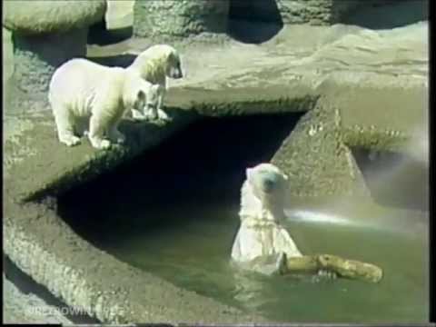 Size Small - Debby the Polar Bear (1982)