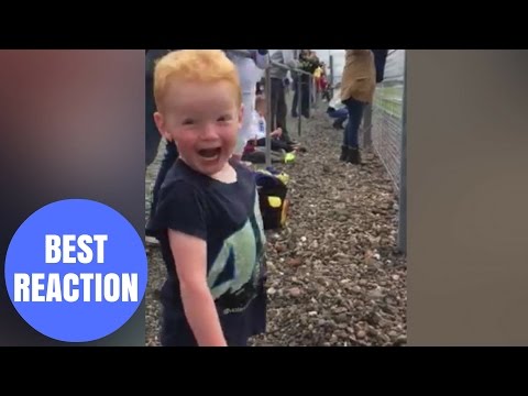 Hilarious video of boy&#039;s ecstatic reaction to motorbikes
