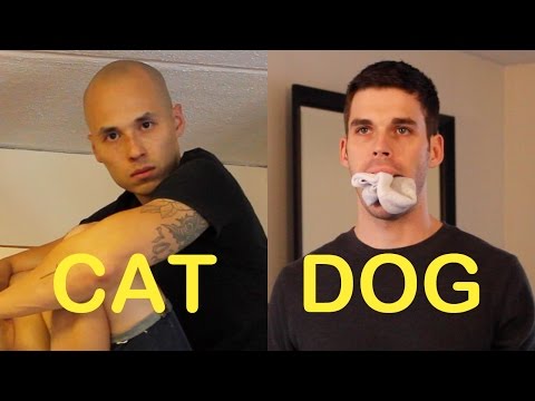 Cat-Friend vs. Dog-Friend 3
