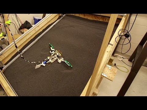 MuddyBot – robot mimics mudskippers