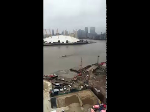 Mysterious Giant Creature/Object In The Thames