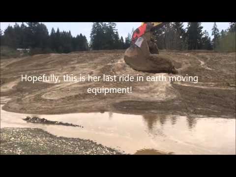 Young Deer Rescued From Mud by Excavator Operator