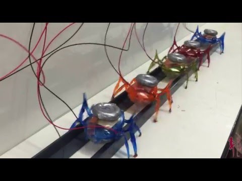 Let's all Pull Together: Team of µTug Microrobots Pulls a Car