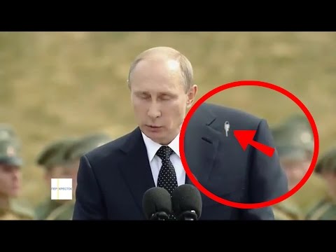 Голубь насрал на Путина