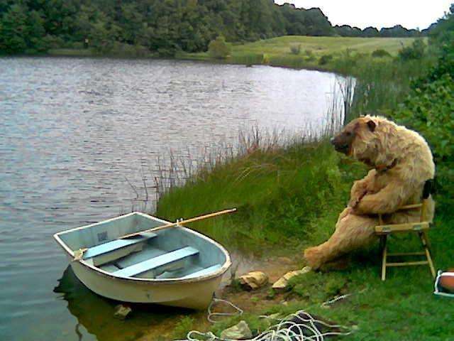 Медведь рыбак