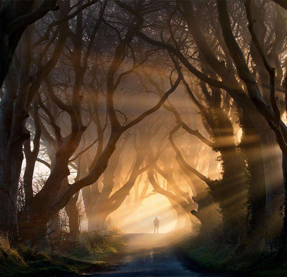 Темная аллея, Ирландия
