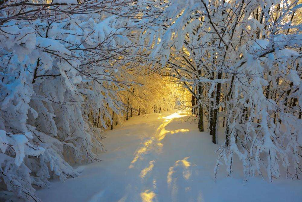 Зимний рассвет в Национальном парке Кампинья, Италия
