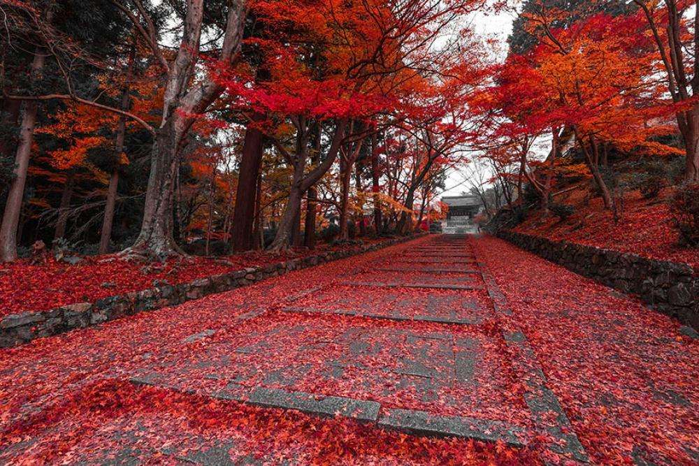 Осень в Киото, Япония