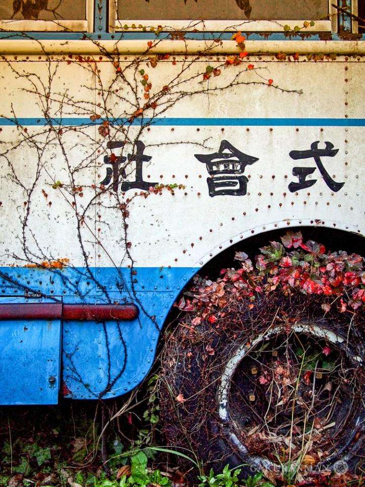 Японский автобус, захваченный в плен цветами