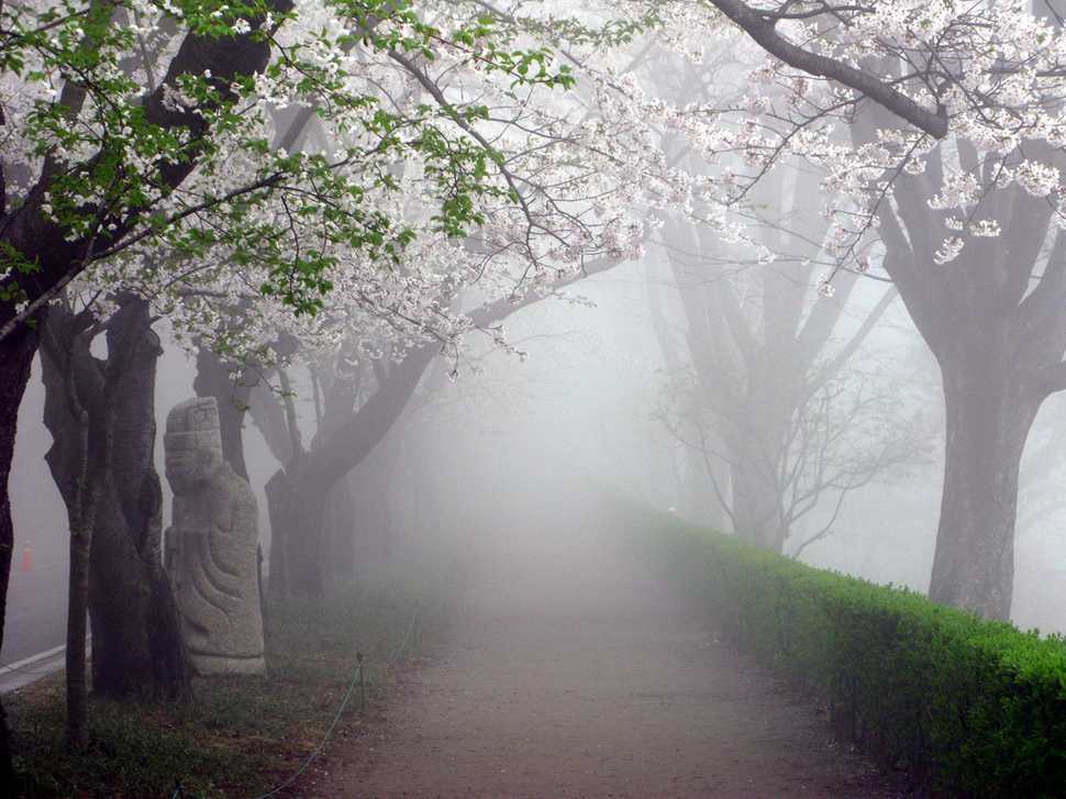 30 фотографий красивейших мест на Земле, которые туман делает еще великолепнее