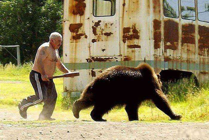 Иллюстрированная история о непреодолимом стремлении медведей бродить по улицам российских городов