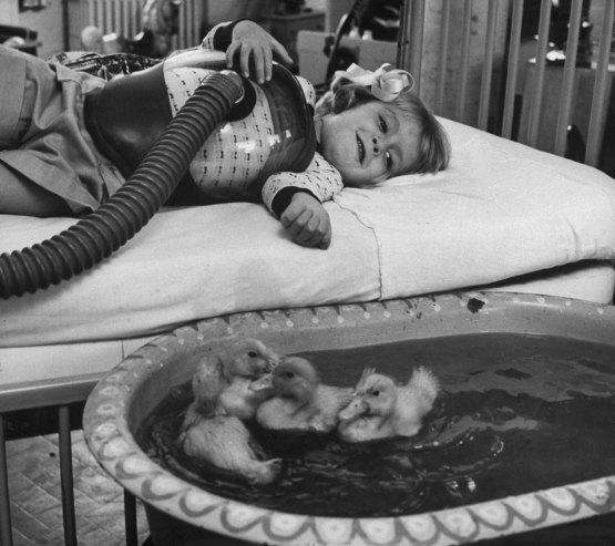 Девочка и утки в госпитале, 1956 год