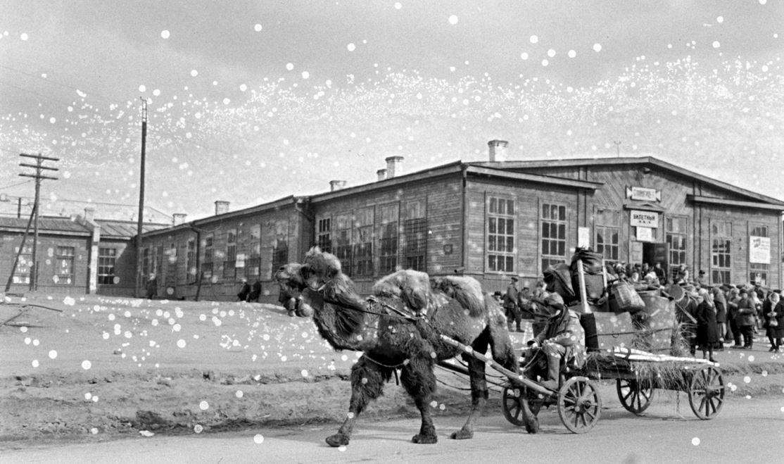 Сталинград, 1947 год
