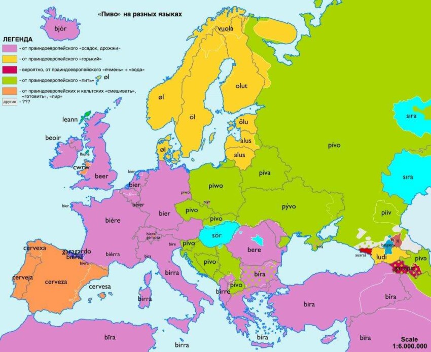 Карты происхождения слов и их похожести в Европе - от "пива" до "медведя"