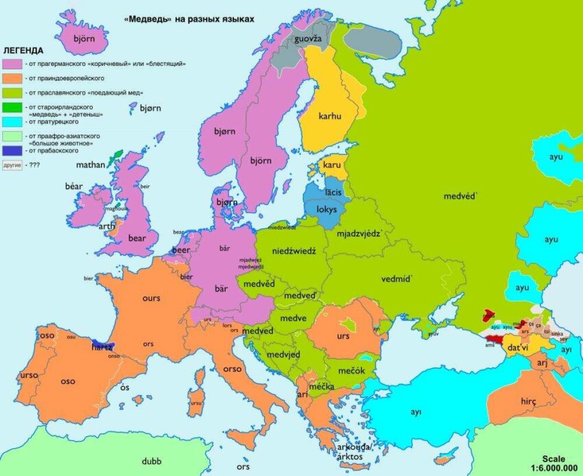 карты происхождения и похожести слов в Европе -1