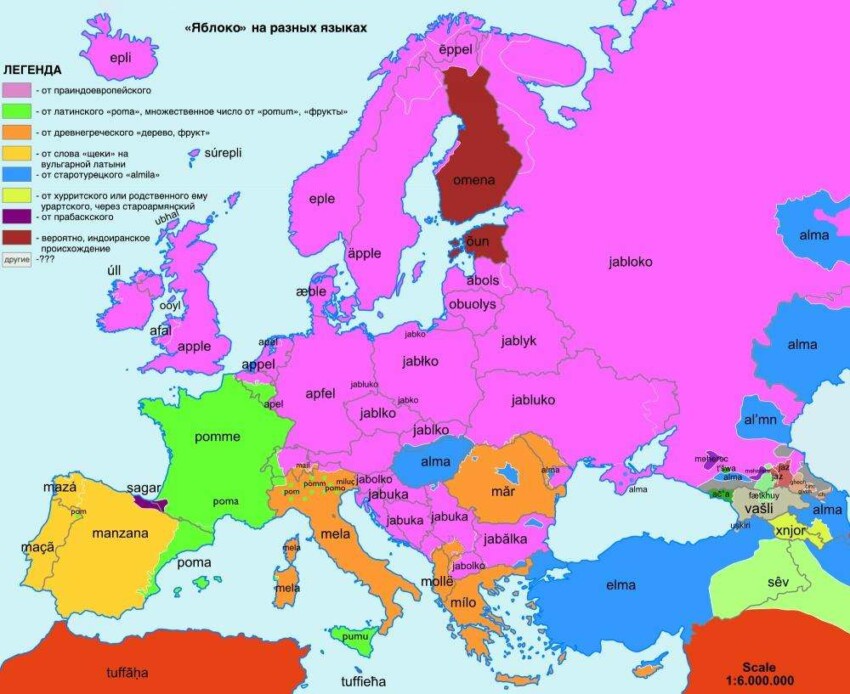 карты происхождения и похожести слов в Европе -4