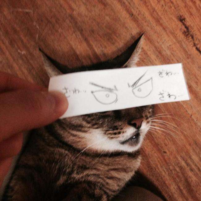 Как сделать котику "выражение лица" с помощью полоски бумаги и ручки