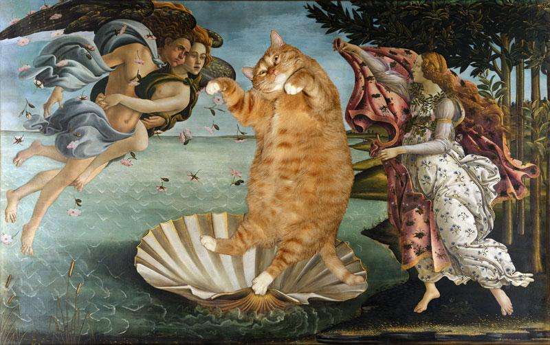 botticelli-the-birth-of-venus-cat-sm