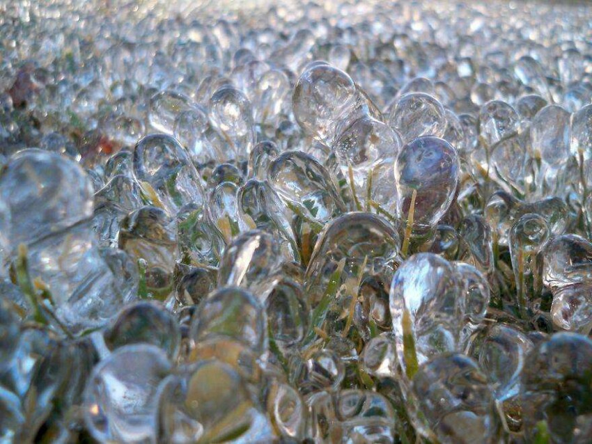 20 фото творений холода, выглядящие как произведения искусства - Трава после ледяного дождя