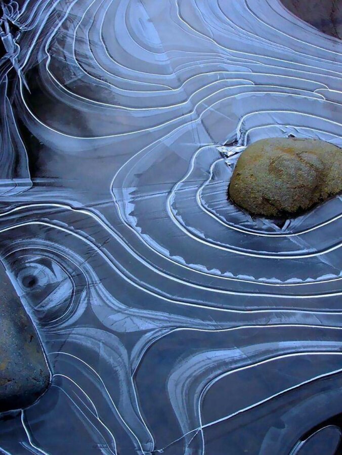 20 фото творений холода, выглядящие как произведения искусства - Тонкий лен на пруду