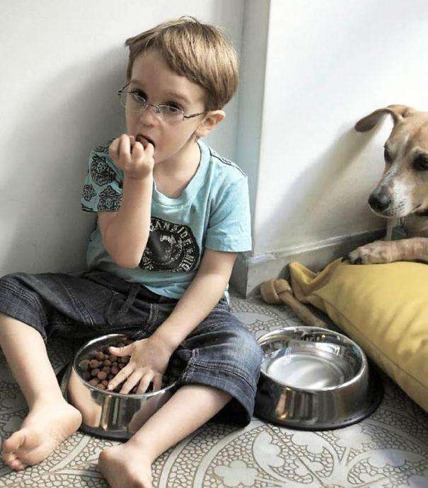 kid-act-like-animal-eating-dog-food фото детей - домашних животных