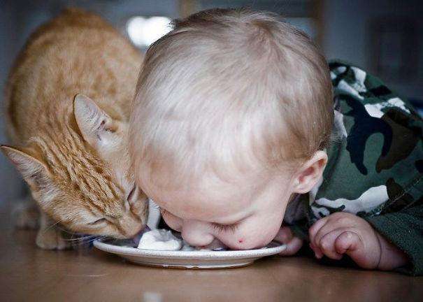 kids-act-like-animals-eating-with-cat фото детей - домашних животных