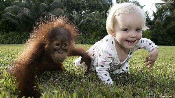 kids-act-like-animals-like-orangutan фото детей - домашних животных