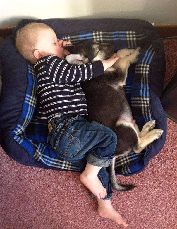 kids-act-like-animals-sleeping-with-puppy фото детей - домашних животных