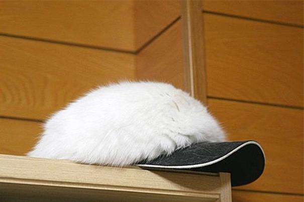 XX-Furry-Cat-Hats-To-Keep-You-Warm-This-Winter32__605