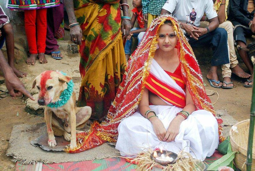 Жительница Индии Мангли Мунда вынуждена была сыграть свадьбу с бездомной собакой