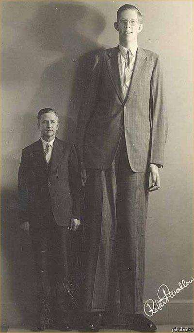 Роберт Вэдлоу - самый высокий человек в истории - 5