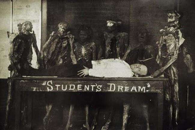 Мечты учеников
