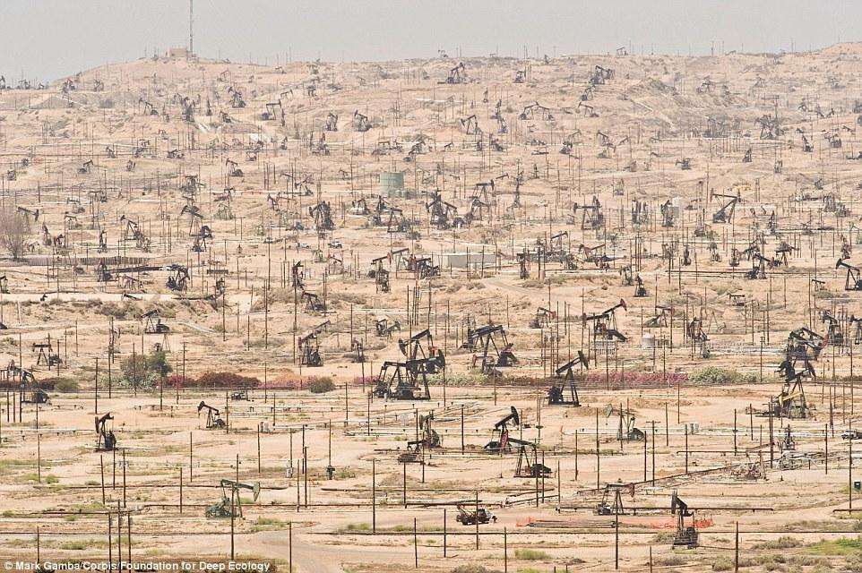 Добыча нефти на месторождении Керн-Ривер , Калифорния, США