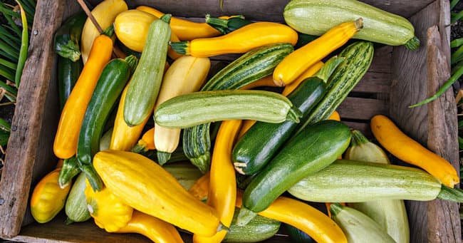 50 овощей, которые любят во всем мире (самые вкусные овощи)