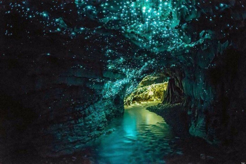 Светлячки в пещере в Новой Зеландии топ нереально красивых пейзажей