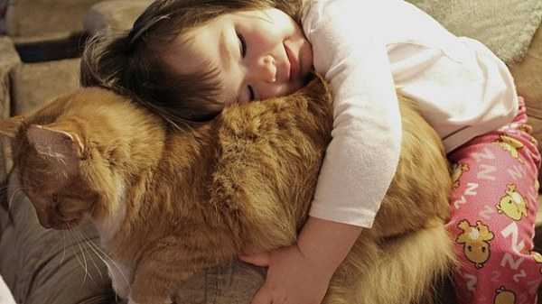 30 изображений, доказывающих, что кот ребенку просто необходим