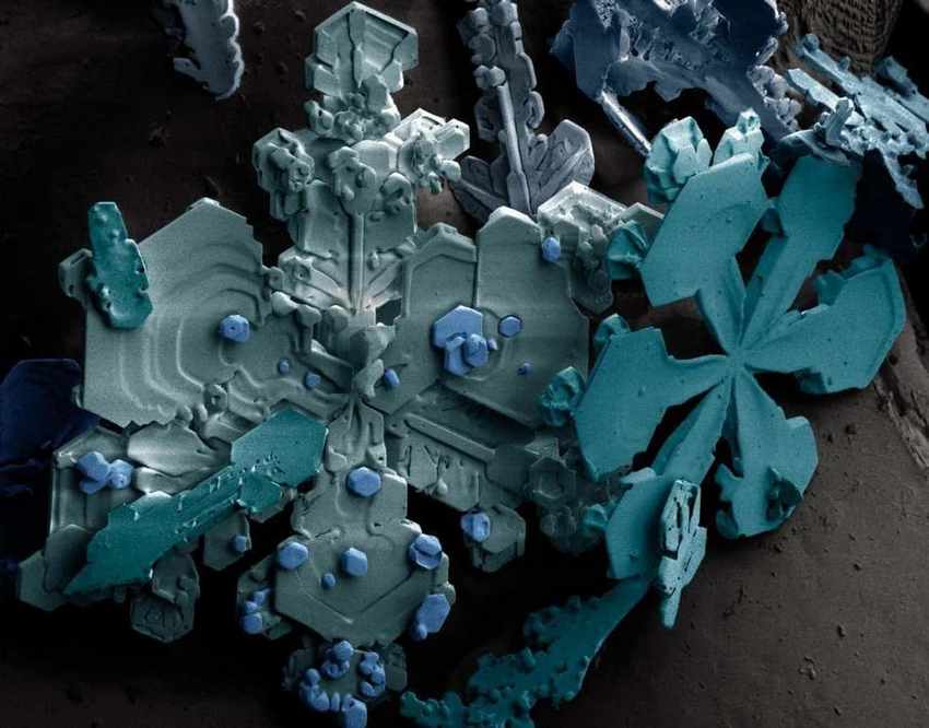 24 удивительные вещи, увиденные через микроскоп