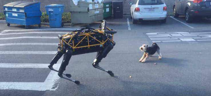 собака против робота