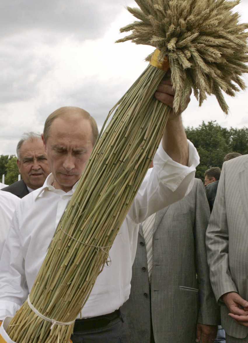 60 лучших снимков из серии "Путин смотрит на что-то"