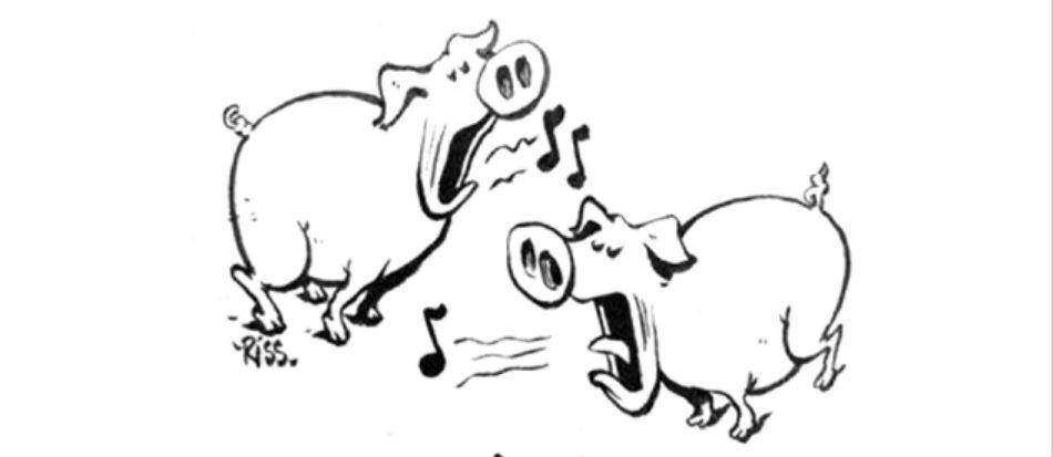 Шарли Эбдо изобразил Евровидение конкурсом поющих свиней