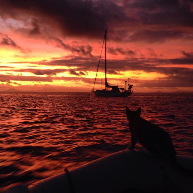 Американка путешествует вокруг света на яхте с котом 1