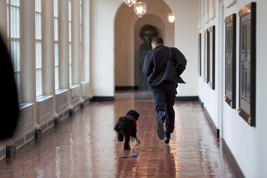16 почти интимных фотографий реального Барака Обамы