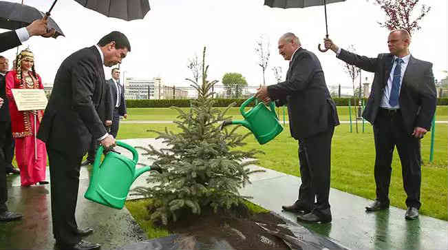 Фото: президенты поливают ёлку под дождём