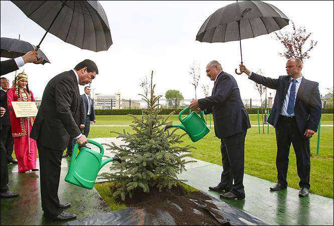 президенты поливают ёлку под дождём