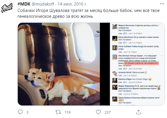 10 лучших комментариев про собак Шувалова, летающих по миру на частном самолете