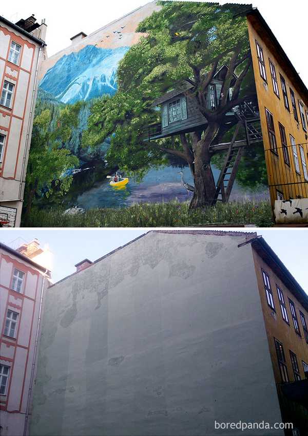 before-after-street-art-boring-wall-transformation-4-580df7afbd8e2__700